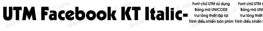 UTM Facebook KT Italic字体转换